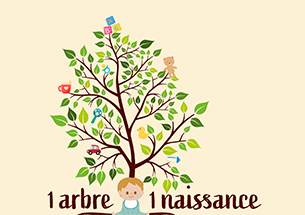 Arbre naissance_agenda