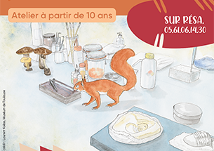 atelier illust muséum