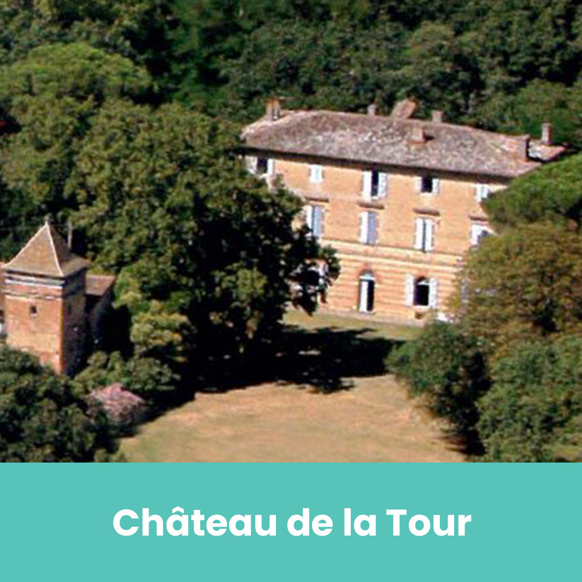 Vignettes château de la tour