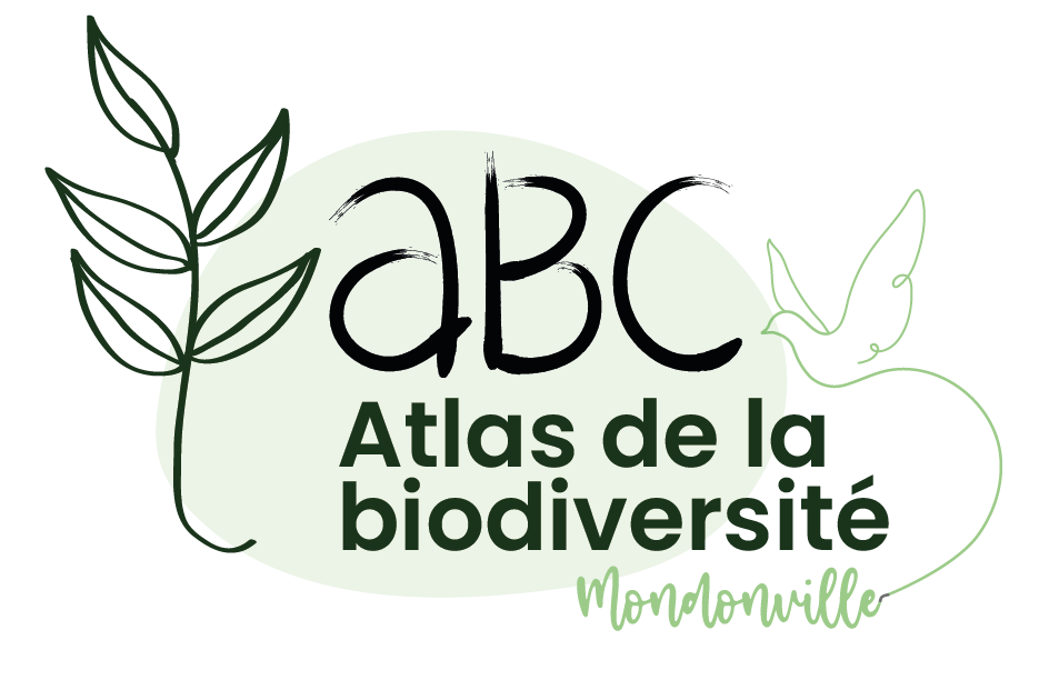 Logo ABC_FINAL-02