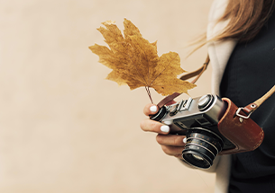 Photo automne