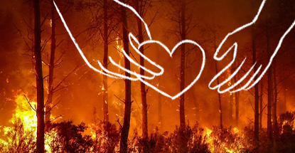 Solidarité don incendie actu